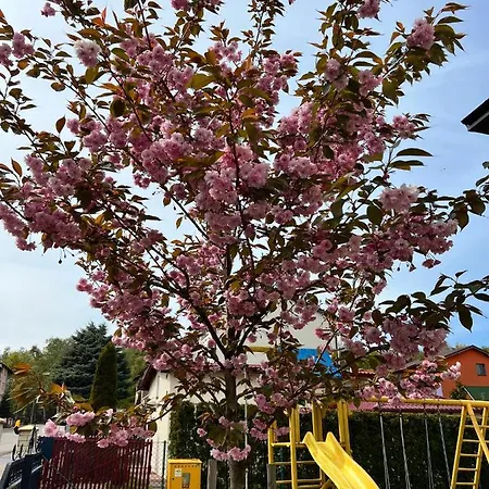 Amelia - Sala Zabaw, 2 Sypialnie, Garaz Podziemny Apartment *