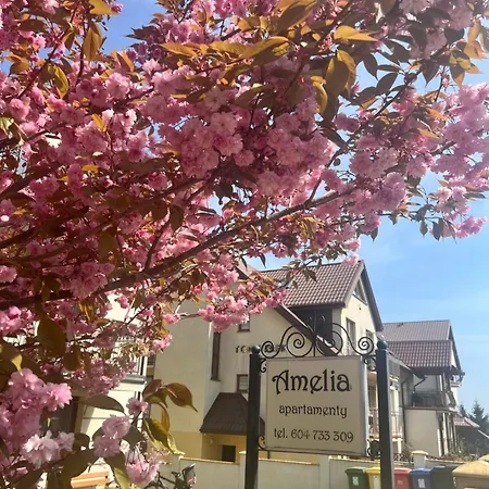 Amelia - Sala Zabaw, 2 Sypialnie, Garaz Podziemny * Wladyslawowo