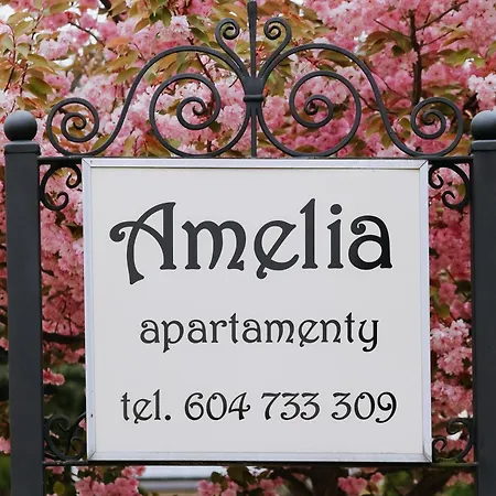 Amelia - Sala Zabaw, 2 Sypialnie, Garaz Podziemny Wladyslawowo