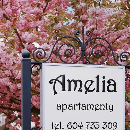 Amelia - Sala Zabaw, 2 Sypialnie, Garaz Podziemny Apartment *