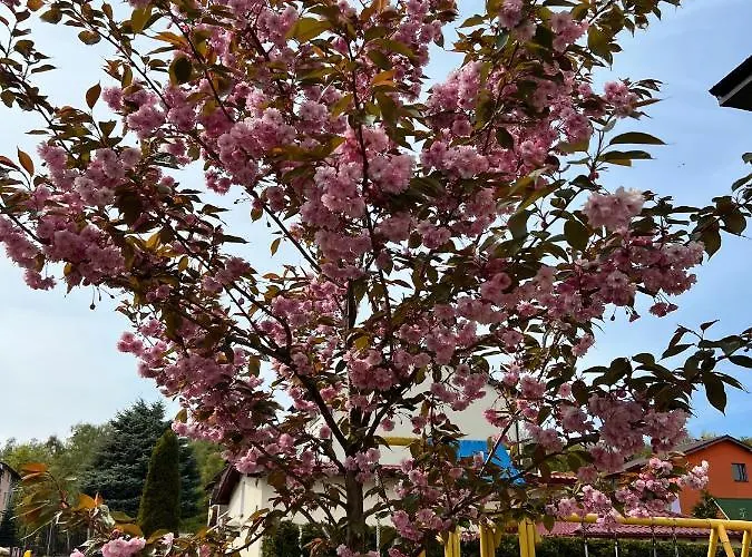 Amelia - Sala Zabaw, 2 Sypialnie, Garaz Podziemny Lejlighed *